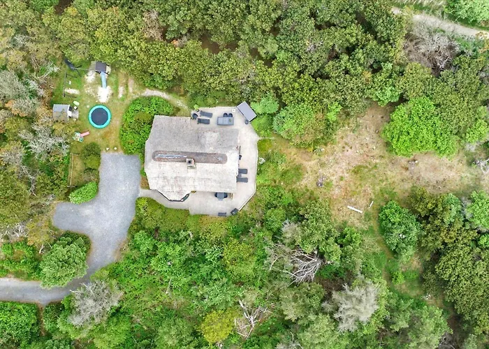 Bv224-blavand-horns-rev-11 Feriehus *